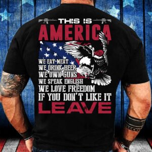 Veteran T Shirt, This Is America If…