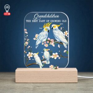 Mother’s Day Led Lights, Cockatoo Bird Grandparents,…