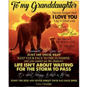 To My Granddaughter Brave Bold Beautiful Gift…