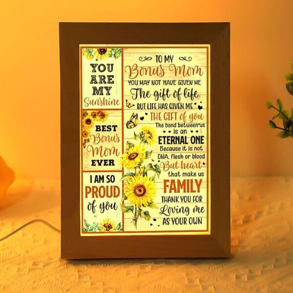 You May Not Have Give Me The Gift Of Life Frame Lamp, Picture Frame Light, Frame Lamp, Mother’s Day Gifts
