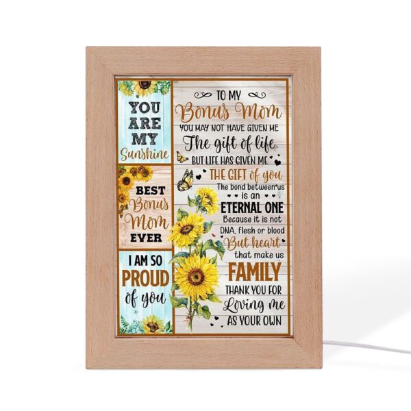 You May Not Have Give Me The Gift Of Life Frame Lamp, Picture Frame Light, Frame Lamp, Mother’s Day Gifts