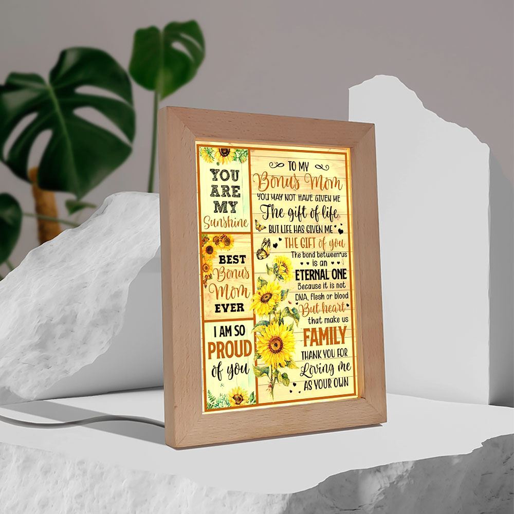 You May Not Have Give Me The Gift Of Life Frame Lamp, Picture Frame Light, Frame Lamp, Mother’s Day Gifts