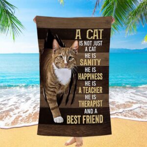 A Cat Is Not Just A Cat Beach Towel Beach Towel, Christian Beach Towel, Summer Towels