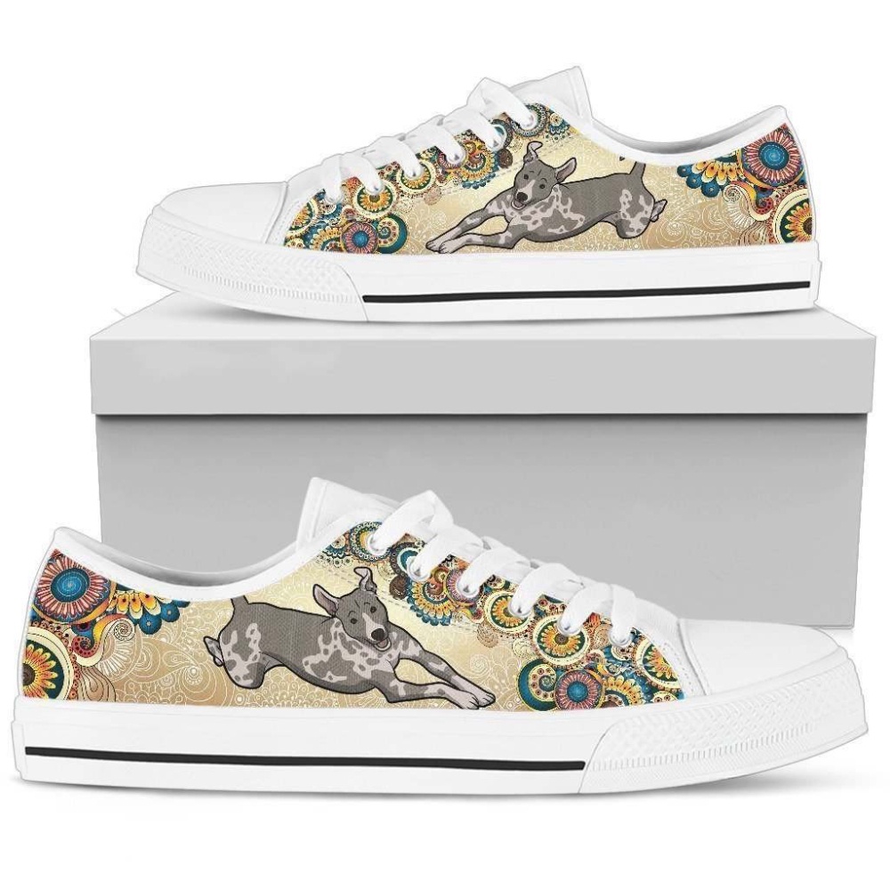 American Hairless Terrier Women’s Low Top Shoe A Unique and Stylish Choice, Designer Low Top Shoes, Low Top Sneakers