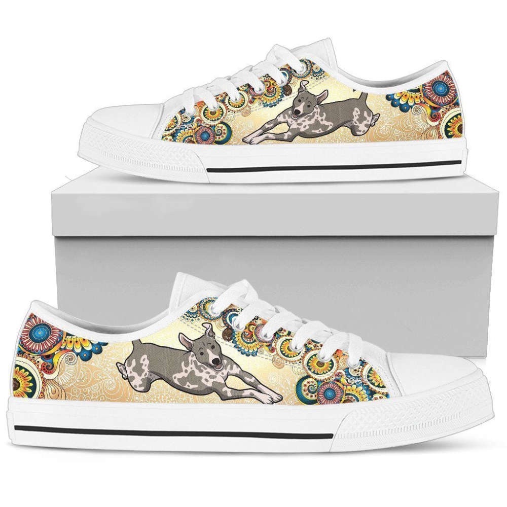 American Hairless Terriers Women’s Low Top Shoes, Designer Low Top Shoes, Low Top Sneakers American Hairless Terriers Women’s Low Top Shoes, Designer Low Top Shoes, Low Top Sneakers