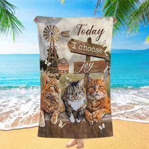 Angry Cat Windmill Today I Choose Joy Beach Towel Christian Beach Towel Summer Towels 2 gxn2dd.jpg