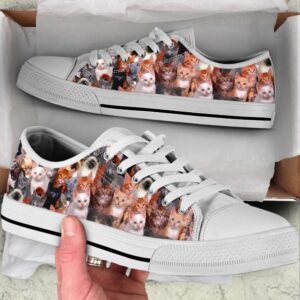 Cat Lover Shoes Cat Background Low Top…