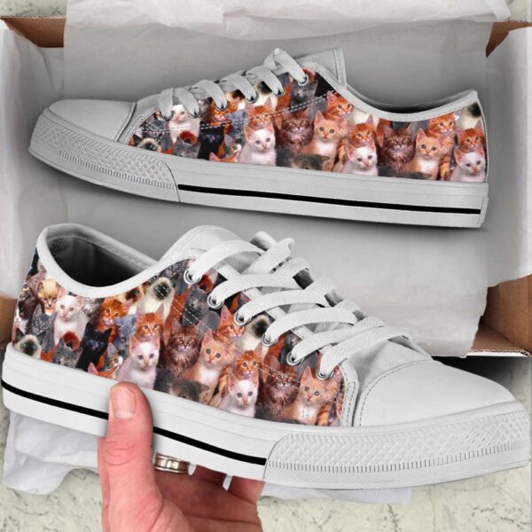 Cat Lover Shoes Cat Background Low Top Shoes Canvas Shoes Print Lowtop, Low Top Sneakers, Low Top Designer Shoes