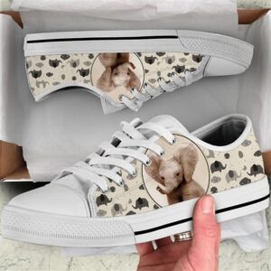 Elephant Pattern Brown Canvas Low Top Shoes Low Tops Low Top Sneakers 2 npyrkf.jpg