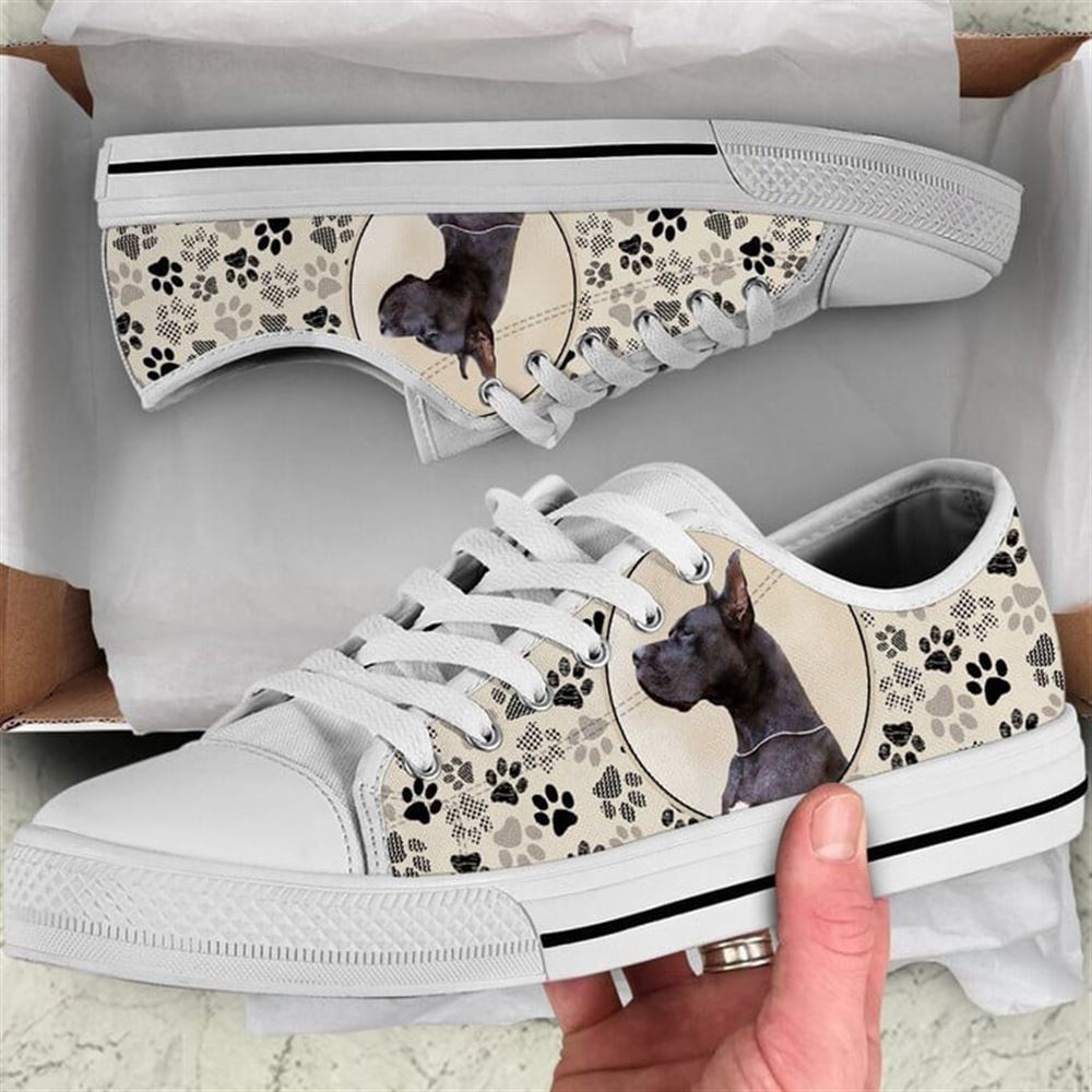 Great Dane Dog Pattern Brown Canvas Low Top Shoes, Low Top Shoes Mens, Women, Designer Low Top Shoes, Low Top Sneakers