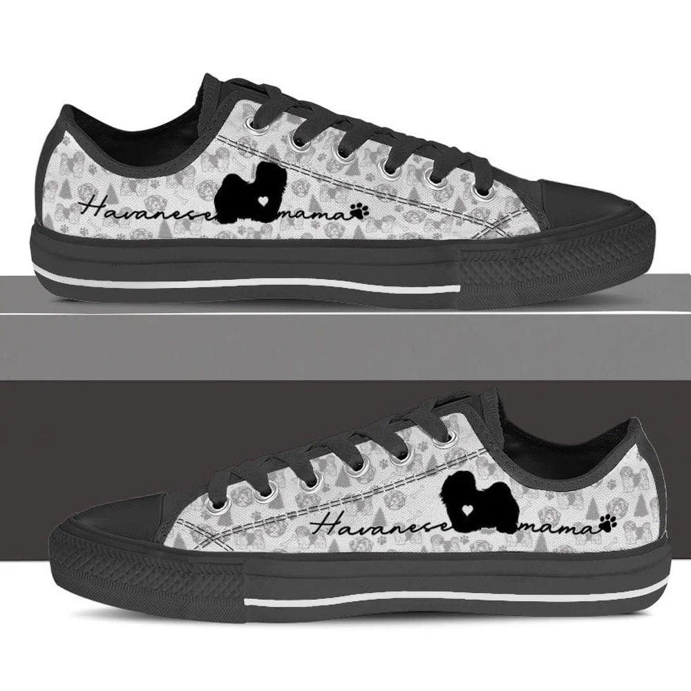 Havanese Low Top, Designer Low Top Shoes, Low Top Sneakers Havanese Low Top, Designer Low Top Shoes, Low Top Sneakers