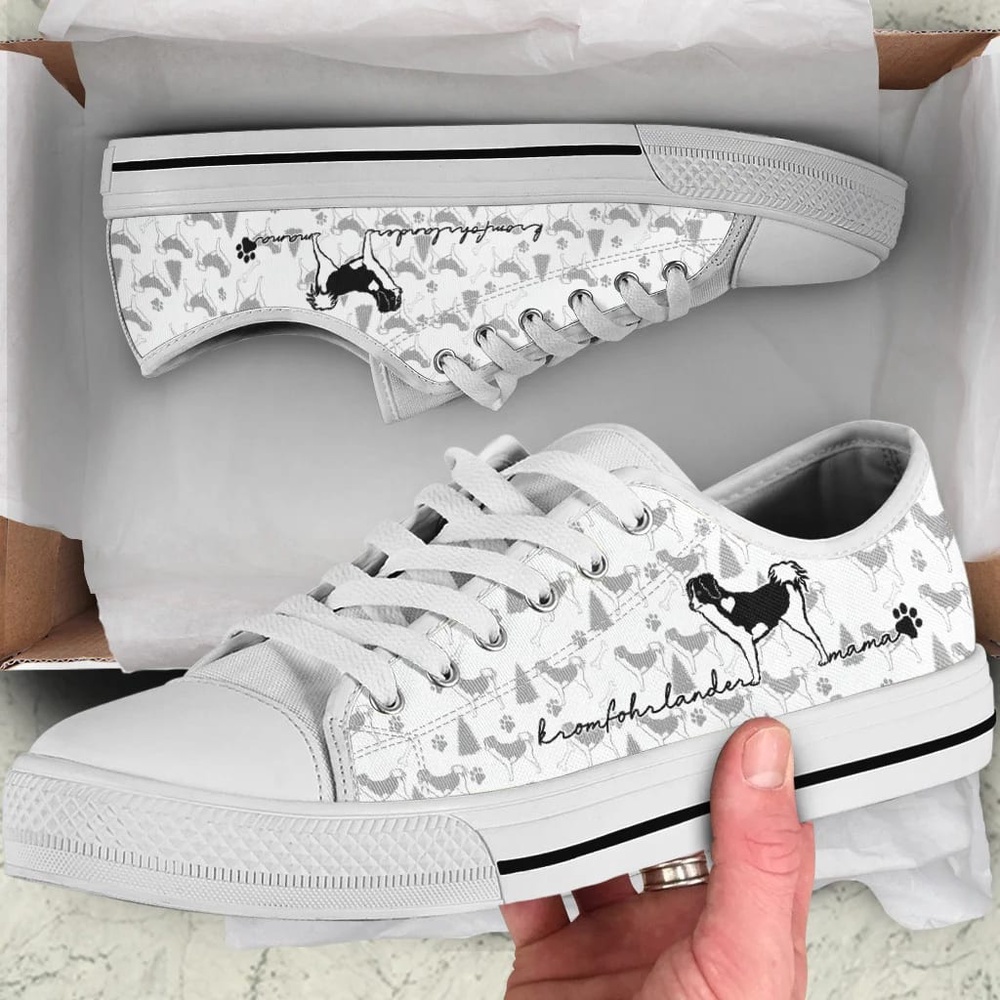 Kromfohrlander Low Top Shoes, Designer Low Top Shoes, Low Top Sneakers Kromfohrlander Low Top Shoes, Designer Low Top Shoes, Low Top Sneakers