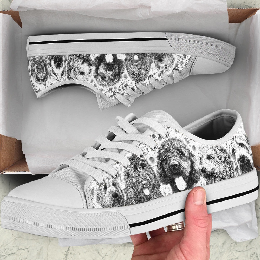 Labradoodle Low Top Shoes, Lowtop Casual Shoes Gift For Adults, Designer Low Top Shoes, Low Top Sneakers Labradoodle Low Top Shoes, Lowtop Casual Shoes Gift For Adults, Designer Low Top Shoes, Low Top Sneakers