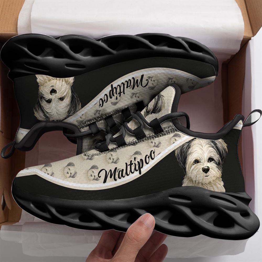 Maltipoo Max Soul Shoes, Max Soul Sneakers, Max Soul Shoes Maltipoo Max Soul Shoes, Max Soul Sneakers, Max Soul Shoes