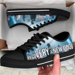Recovery Is The New Cool Canvas Low…