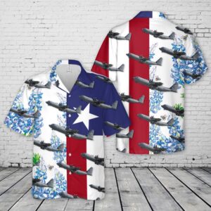 USAF Texas Air National Guard C-130J Hawaiian…