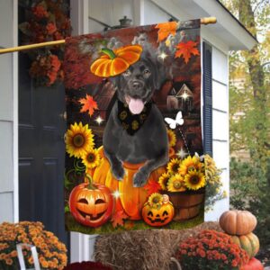 Black Labrador Pumpkin Happy Fall Y’all Flag, Halloween Flag, Halloween Garden Flags, Halloween House Flags