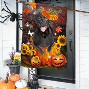 Black Labrador Pumpkin Happy Fall Y all Flag Halloween Flag Halloween Garden Flags Halloween House Flags 2 mispct.jpg