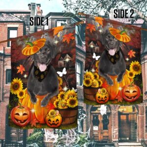 Black Labrador Pumpkin Happy Fall Y all Flag Halloween Flag Halloween Garden Flags Halloween House Flags 3 mn0aui.jpg