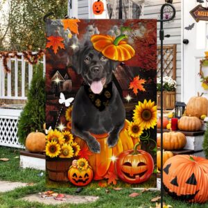 Black Labrador Pumpkin Happy Fall Y all Flag Halloween Flag Halloween Garden Flags Halloween House Flags 4 hur81g.jpg