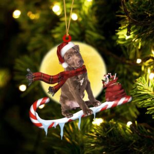 Brown-Pit-bull On The Candy Cane Christmas Ornament,…