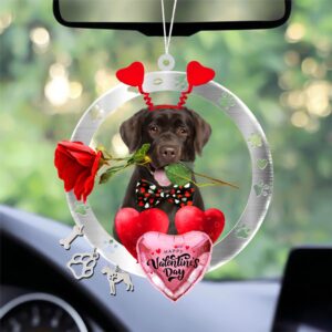 Chocolate Labrador With Rose & Heart Balloon…
