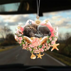 German Shorthaired Pointer Sleeping In The Seashell…