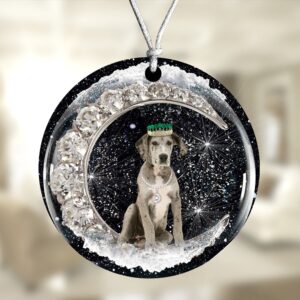 Great-Dane With Crown Diamond Ornament, Christmas Ornament,…