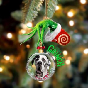 Great Dane Don’t Be A Grinch Christmas…