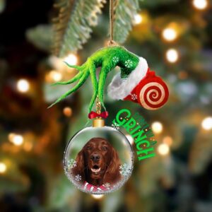 Irish Setter Don’t Be A Grinch Christmas…