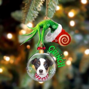 Jack Russell Terrier Don’t Be A Grinch…