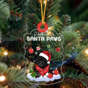 Maltipoo-2 Christmas Ornament, Christmas Ornament, Dog Ornament,…