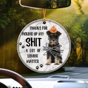 Miniature Schnauzer A Lot Of Loving Master…