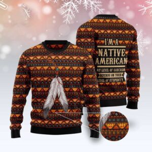 Native Feather Ugly Christmas Sweater, Christmas Sweater,…