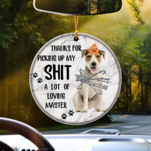 Parson Russell Terrier A Lot Of Loving…