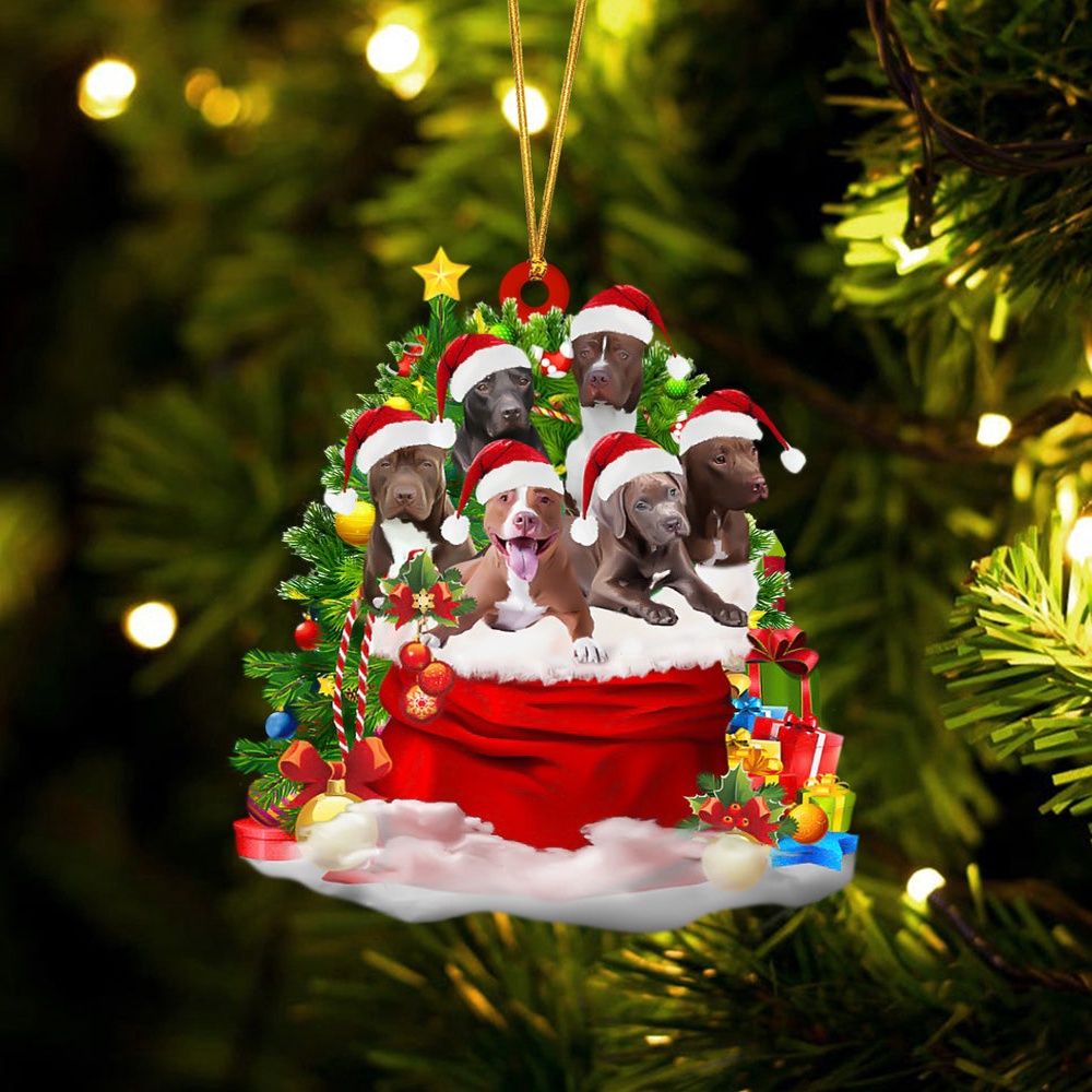 Pit Bull Dogs In A Gift Bag Christmas Ornament, Christmas Ornament, Dog Ornament, Xmas Dog Ornaments Pit Bull Dogs In A Gift Bag Christmas Ornament, Christmas Ornament, Dog Ornament, Xmas Dog Ornaments