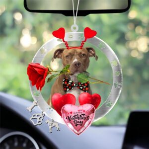 Pit Bull With Rose & Heart Balloon…