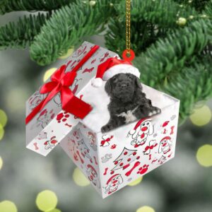 Portuguese-Water In Gift Box Christmas Ornament, Christmas…