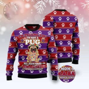 Pug Baby Christmas Ugly Christmas Sweater, Dog…