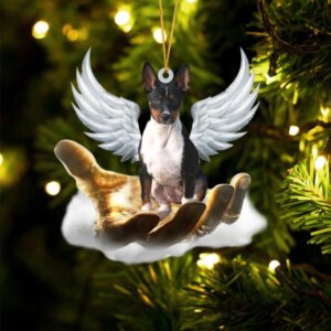 Rat Terrier On The Hands Of Jesus…