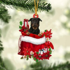 Rottweiler 2 In Gift Bag Christmas Ornament,…