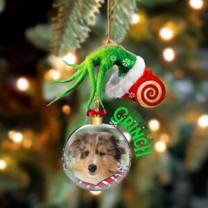 Rough Collie Don’t Be A Grinch Christmas…