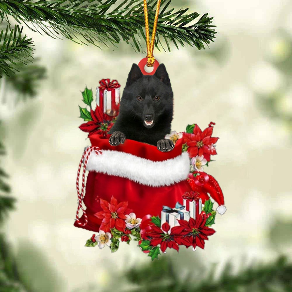 Schipperke In Gift Bag Christmas Ornament, Christmas Ornament, Dog Ornament, Xmas Dog Ornaments Schipperke In Gift Bag Christmas Ornament, Christmas Ornament, Dog Ornament, Xmas Dog Ornaments