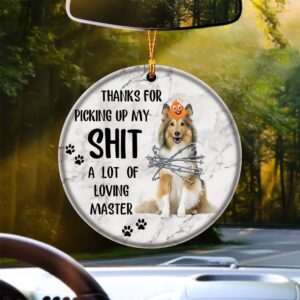 Shetland Sheepdog A Lot Of Loving Master…