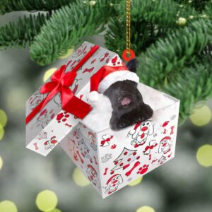 Skye-Terrier In Gift Box Christmas Ornament, Christmas…