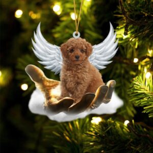 Toy Poodle On The Hands Of Jesus…