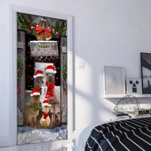 Today I Choose Joy Alpacas Farmhouse Door Cover Front Door Christmas Cover Christmas Outdoor Decoration Christmas Gift 5 alx4no.jpg